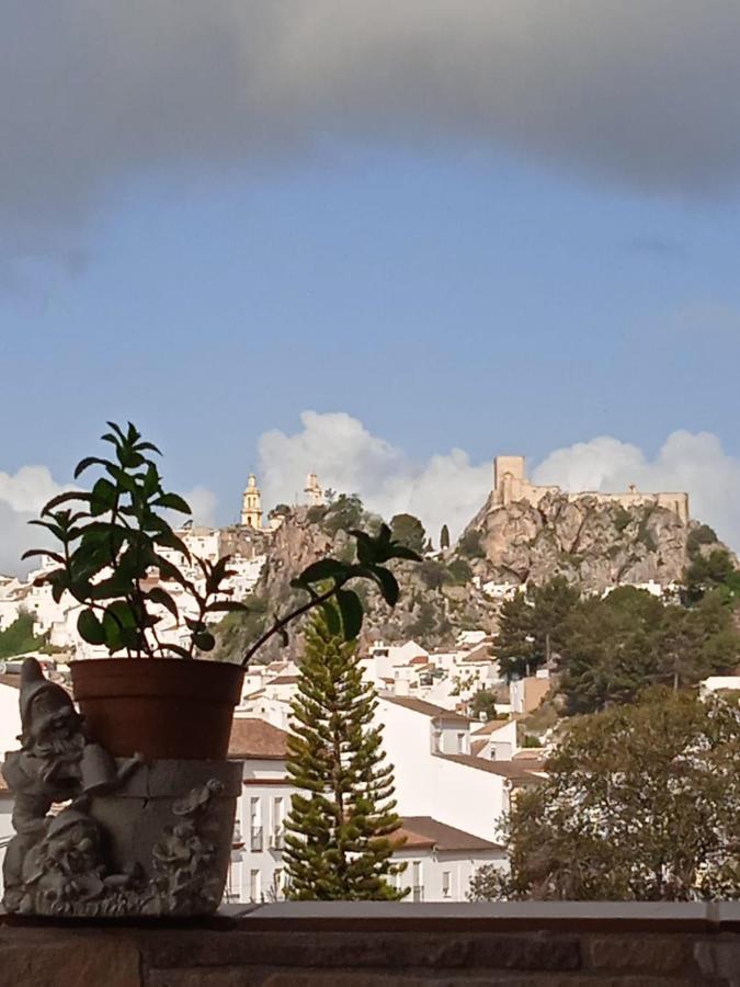 Los Girasoles Olvera Bagian luar foto