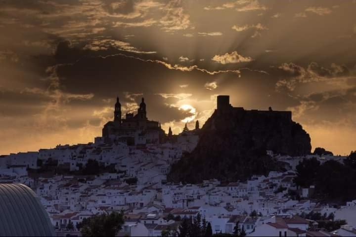 Los Girasoles Olvera Bagian luar foto