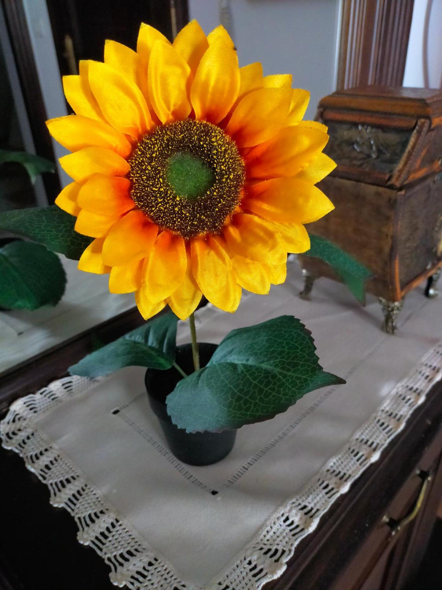 Los Girasoles Olvera Bagian luar foto