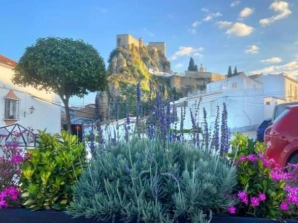 Los Girasoles Olvera Bagian luar foto